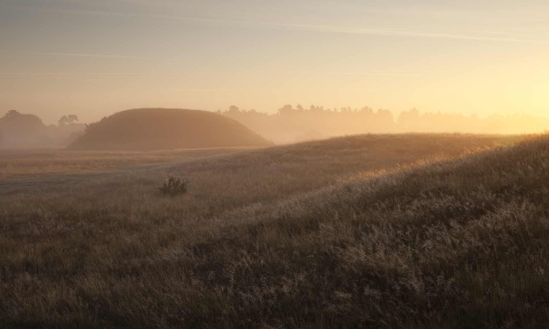 national_trust_sutton_hoo_anglo_saxon_burial_grounds_-_national_trust_images_-_justin_mi