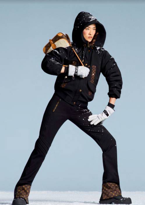 Louis Vuitton Bimaterial Hooded Down Jacket